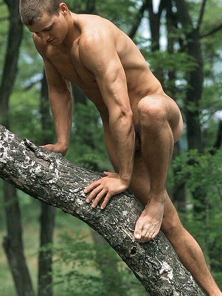 Men Nude In The Forest Video